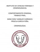 ¿Qué es el comportamiento criminal?