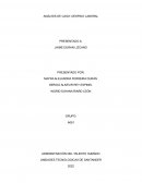 ANÁLISIS DE CASO: DESPIDO LABORAL