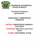 IDENTIFICAR LOS 5 TIPOS DE COMPETENCIAS LABORALES
