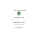 Análisis Película Mi Perfecta Hermana