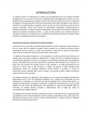 Descripción del proyecto: desarrollo de la idea innovadora