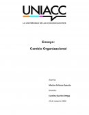Cambio Organizacional