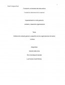 Análisis del contexto general y especifico de las organizaciones del sector turístico