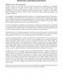 PRÁCTICA 2: EL CASO ALCÁSSER