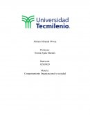Comportamiento Organizacional y sociedad