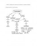 Objeto de estudio de teoría económica