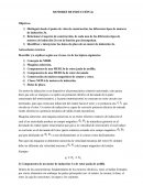 MOTORES DE INDUCCION