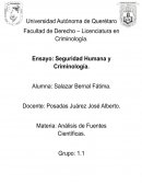 Seguridad humana y criminologia
