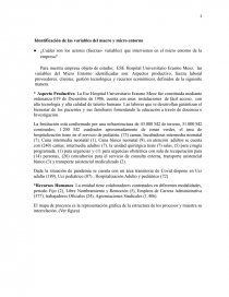 Identificación de las variables del macro y micro entorno ESE Hospital Universitario Erasmo Meoz. Página 1