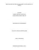 BREVE REVISIÓN HISTÓRICA DE LA ALQUIMIA Y SU INFLUENCIA EN LA QUÍMICA