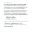 Ensayo sobre la Calidad total