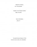 Diagnósticos psicológicos. Fase 1. Reconocimiento