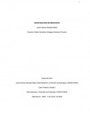 Solución Caso Practico Unidad 2 Investigación de Mercados