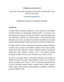 Términos anatómicos