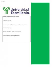 Implementación de proyecto empresarial. Página 1