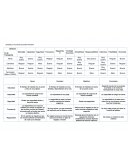 Atributos del transporte