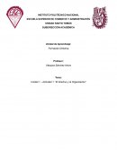 El directivo y la organización