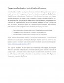 Transporte de Tau Stymies a través del núcleo de la neurona