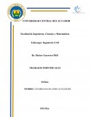 Liderazgo Trabajos Individuales