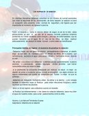 Normas de la natacion