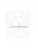 LA NEUROPSICOLOGIA