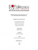 INVESTIGACION DE MERCADO MAPLE DE PANELA