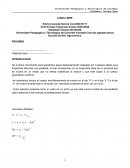 SEGUNDA LEY DE NEWTON INFORME FISICA