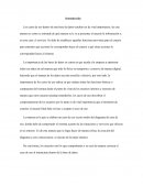 La importancia de las bases de datos