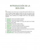 Organización pluricelular