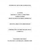 INFORME DE CERVECERIA BAMBUQUERA