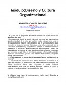 Diseño y Cultura Organizacional