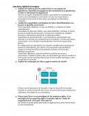 Caso Glovo. Agilidad Estratégica