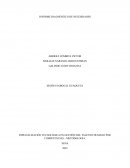 Diagnostico de necesidades LAP SAS