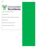 Implementación de proyecto empresarial