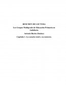 Los Grupos Multigrado de Educación Primaria en Andalucía