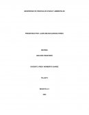 TALLER ANALISIS FINANCIERO