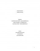 Procesos numéricos. Problema del viajero