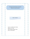 ¿Por qué se le llamó innovación al cambio que realizaron en el proyecto?