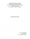 Estructura social y comportamiento humano