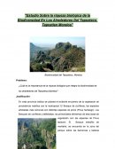 ESTUDIO DE LA BIODIVERSIDAD EN LOS ALREDEDORES DEL TEPOZTECO