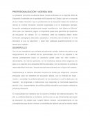 Profesionalización y agenda 2030