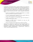 Ejercicios resueltos sobre angulos