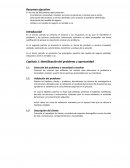 Estructura de Proyecto Innovación Empresarial