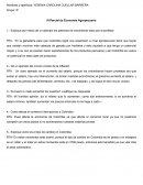 Parcial de Economía Agropecuaria