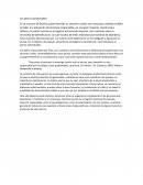 Los perros asilvestrados