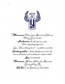 Identificación de necesidades educativas especiales