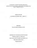 Análisis de la estructura organizacional INFITULUA E.I.C.E