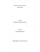 ENSAYO DILEMA DE LAS REDES SOCIALES