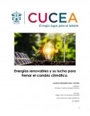 Energías renovables y su lucha para frenar el cambio climático