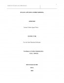 Ensayo de emprendimiento